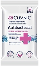Antibacterial Wipes, 24 pcs - Cleanic Antibacterial Wipes — photo N1