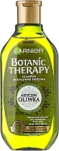 Shampoo - Garnier Botanic Therapy Olive — photo N5