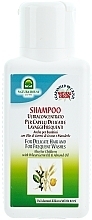 Almond Oil & Wheat Germ Shampoo - Natura House — photo N1