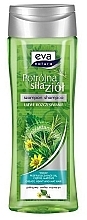 Fragrances, Perfumes, Cosmetics Nettle, Arnica & Rosemary Shampoo for Oily Hair - Eva Natura