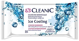 Refreshing Wipes, 15 pcs - Cleanic Ice Cooling Wipes — photo N1