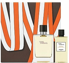 Fragrances, Perfumes, Cosmetics Hermes Terre d’Hermes - Set (edt/100ml + sh/gel/80ml)