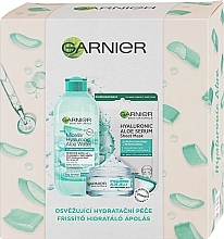 Set - Garnier Skin Naturals Hyaluronic Aloe (micellar/water/400ml + mask/28g + cr/50ml) — photo N1