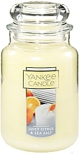 Fragrances, Perfumes, Cosmetics Scented Candle - Yankee Candle Juicy Citrus & Sea Salt