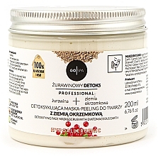 Fragrances, Perfumes, Cosmetics Detoxifying Facial Peeling Mask with Diatomaceous Earth - GoSpa Professional Detoxifying Face Mask&Scrub With Diatomaceous Earth