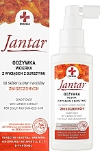 Amber Conditioner for Damaged Hair - Farmona Jantar Medica Conditioner with Amber Extract — photo N2