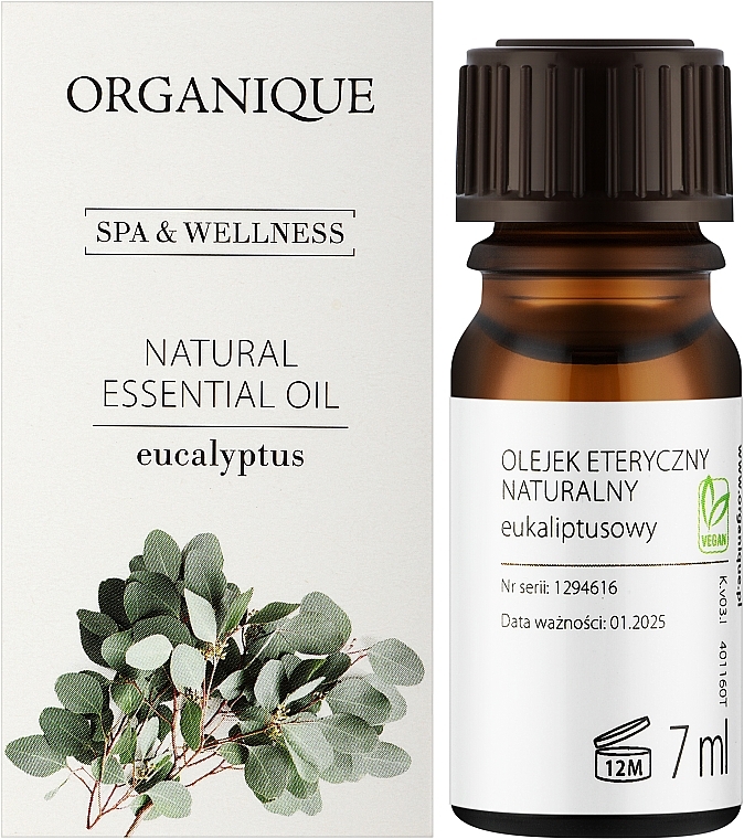 Eucalyptus Essential Oil - Organique Spa & Wellness Natural Essential Oil Eucalyptus  — photo N2