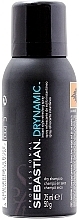 Dry Shampoo - Sebastian Professional Dry Shampoo Drynamic+ — photo N2