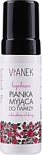 Soothing Cleansing Foam - Vianek Soothing Cleansing Foam — photo N1