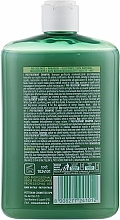 Cleansing & Remineralizing Shampoo - Echosline B.Pur Pre-Treatment Purifying Remineralising Shampoo — photo N3