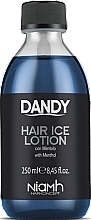 Fragrances, Perfumes, Cosmetics Refreshing Lotion for All Hair Types - Niamh Hairconcept Dandy Hair Ice Lotion