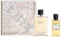 Fragrances, Perfumes, Cosmetics Hermes Terre d'Hermes - Set (edt/100ml+sh/gel/80ml)