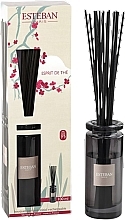 Fragrances, Perfumes, Cosmetics Esteban Esprit de The Initial - Fragrance Diffuser