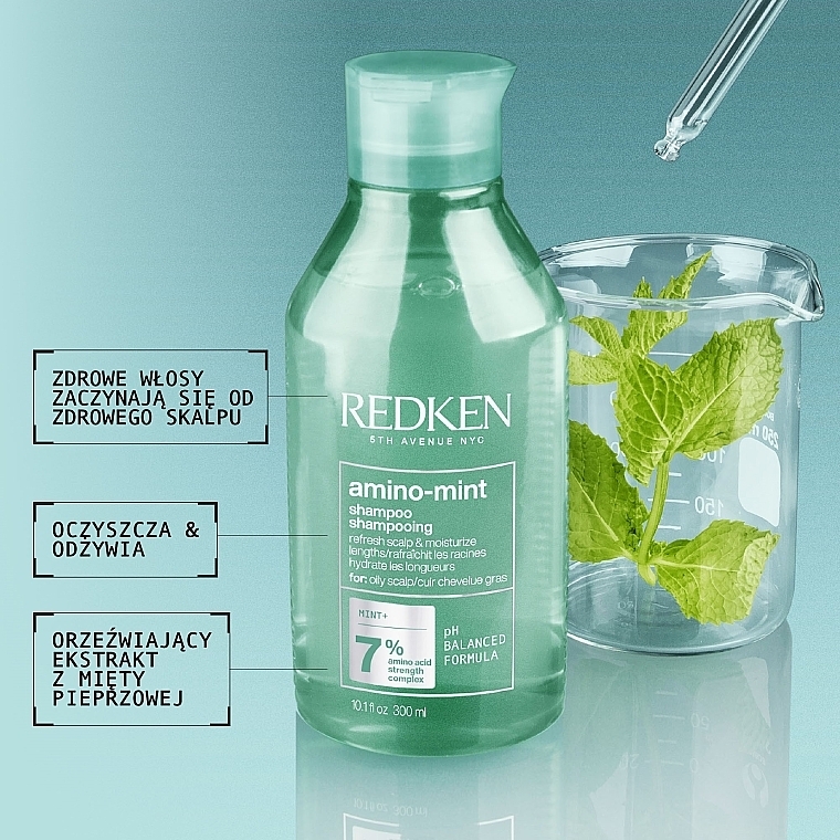 Refreshing & Moisturizing Oil-Control Shampoo - Redken Amino Mint Shampoo — photo N2