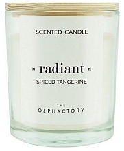 Spicy Tangerine Scented Candle - Ambientair The Olphactory Radiant Spiced Tangerine Scented Candle — photo N1