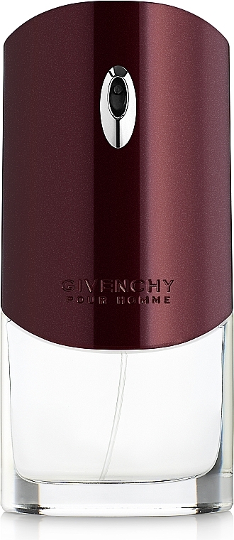 Givenchy pour homme - Eau de Toilette (tester) — photo N1