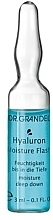 Ampoule Concentrate "Instant Hydration" - Dr. Grandel Hyaluron Moisture Flash — photo N4