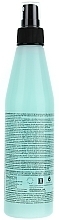 Hair Styling, Thermo-Protective Lotion - Salerm Brushing — photo N2