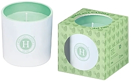 Pine & Mint Scented Candle - Himalaya dal 1989 Pastello Pine & Mint — photo N1