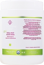 Fragrances, Perfumes, Cosmetics Mint Alginate Face Mask - Charmine Rose Cool Mint Algae Mask