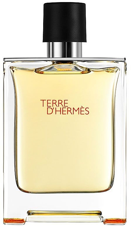 Hermes Terre dHermes - Eau de Toilette (tester without cap) — photo N1