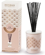 Fragrances, Perfumes, Cosmetics Esteban Iris Cachemire Scented Decorative Bouquet - Fragrance Diffuser