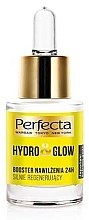 Fragrances, Perfumes, Cosmetics Moisturizing Booster - Perfecta Hydro & Glow Booster