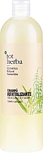 Shampoo - Tot Herba Horsetail & Sage Repair Shampoo — photo N1