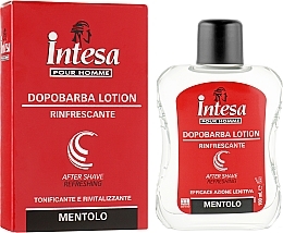 After Shave Refreshing Lotion - Intesa Classic Black Afer Shave Refreshing — photo N1