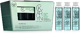 Colored Hair Lotion - Inebrya Karyn Color Care Lotion — photo N1