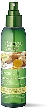 Hair Spray - Bottega Verde Stimulating And Strengthening After-Shampoo Lotion — photo N1