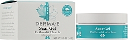 傷跡ケアジェル - Derma E Therapeutic  スカージェル（ミニサイズ） — photo N2