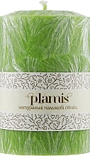 Fragrances, Perfumes, Cosmetics Decorative Palm Candle, young foliage - Plamis