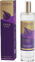 Esteban Figue Noire - Perfumed Home Spray — photo N1