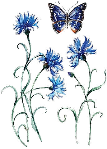 Flash Tattoo "Tender Cornflowers" - Arley Sign — photo N4