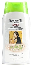 Fragrances, Perfumes, Cosmetics Shampoo - Hesh Amla Herbal Shampoo