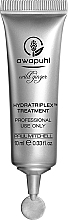 Concentrated Hydratriplex Hair Complex - Paul Mitchell Awapuhi Wild Ginger HydraTriplex Treatment — photo N4