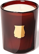 Scented Candle 'Cire' - Cire Trudon — photo N2