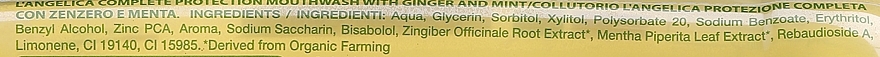 Ginger & Mint Mouthwash - L'Angelica Herbal Mouthwash Complete Protection Ginger & Mint — photo N27
