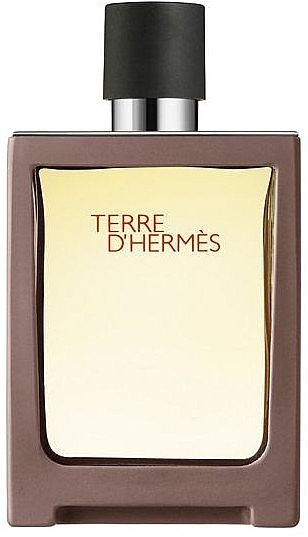 Hermes Terre D'Hermes Travel Spray - Eau de Toilette — photo N1