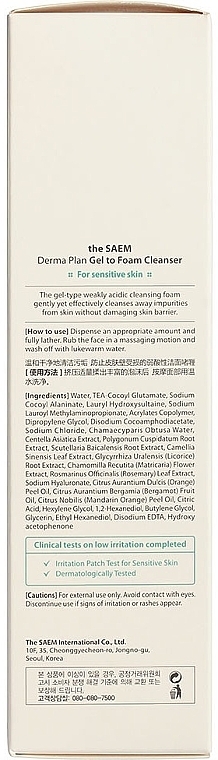 Low-Acid Sulfate-Free Face Cleansing Gel Foam - The Saem Derma Plan Gel To Foam Cleanser — photo N3