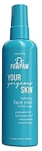 Fragrances, Perfumes, Cosmetics Face Spray - Dr. Pawpaw Hydrating Face Mist