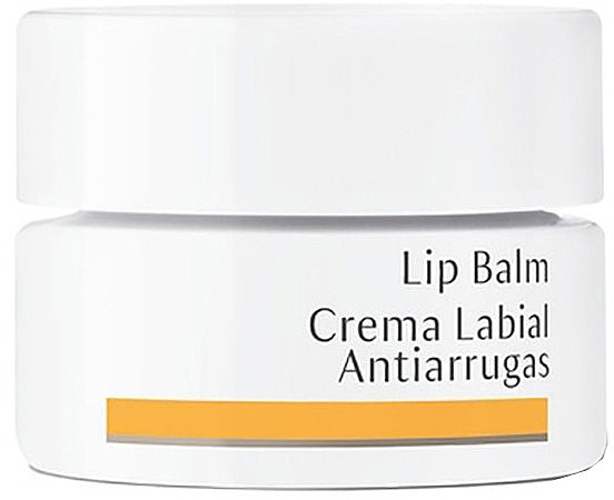 Lip Balm - Dr. Hauschka Lip Balm — photo N1