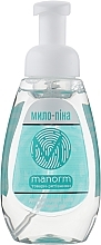 Fragrances, Perfumes, Cosmetics Antibacterial Hand Wash Foam - Manorm