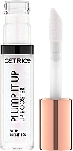 Lip Gloss - Catrice Plump It Up Lip Booster — photo N2