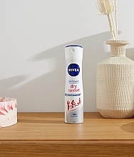 Deodorant Antiperspirant "Protection and Comfort Plus 48 hours" - NIVEA Deodorant Dry Comfort Spray  — photo N4