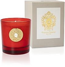 Tiziana Terenzi Borelli - Perfumed Candle in Glass — photo N1