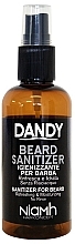 Beard and Moustache Disinfectant Spray - Niamh Hairconcept Dandy Beard Sanitizer Refreshing & Moisturizing — photo N1