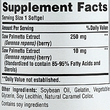 Men Dietary Supplement - Puritan's Pride Saw Palmetto Extract 1000 Mg — photo N2