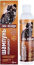 Fragrances, Perfumes, Cosmetics Strengthening Shampoo & Conditioner "Horse Force" - LekoPro